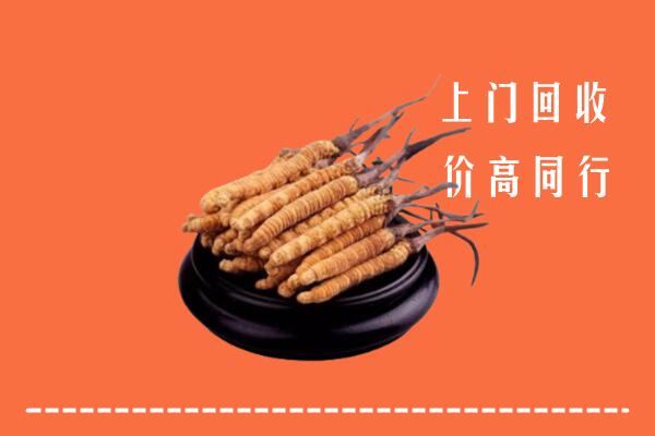 高价求购：重庆合川回收散虫草