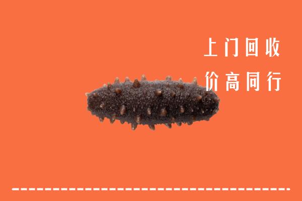 高价求购：重庆合川回收海参