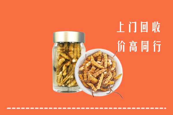 收购行情：重庆合川回收冬虫夏草